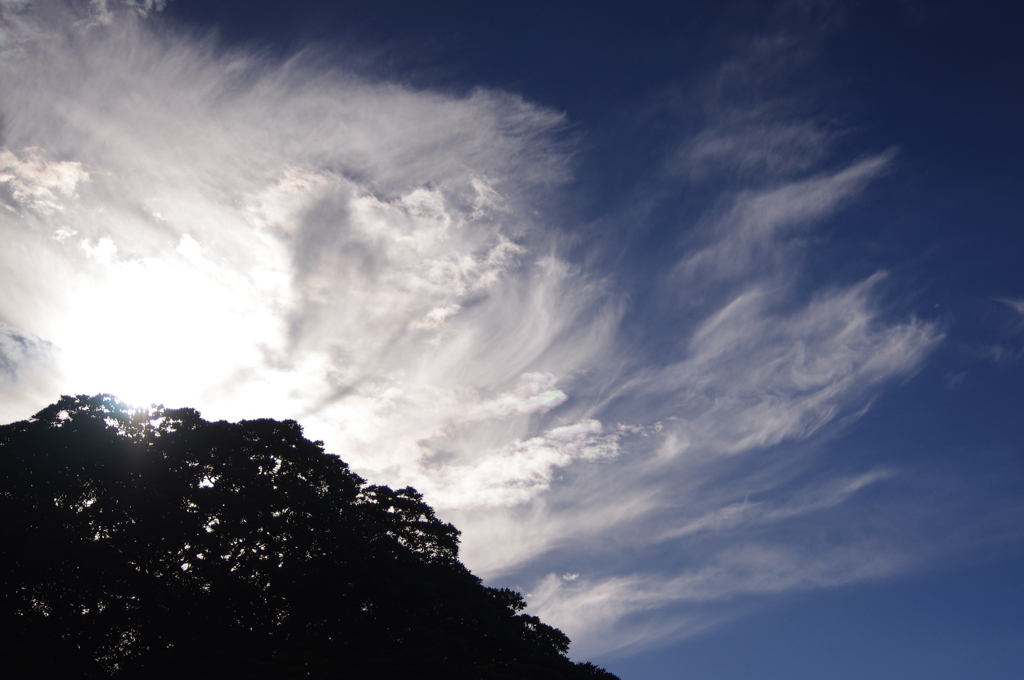 公園の雲