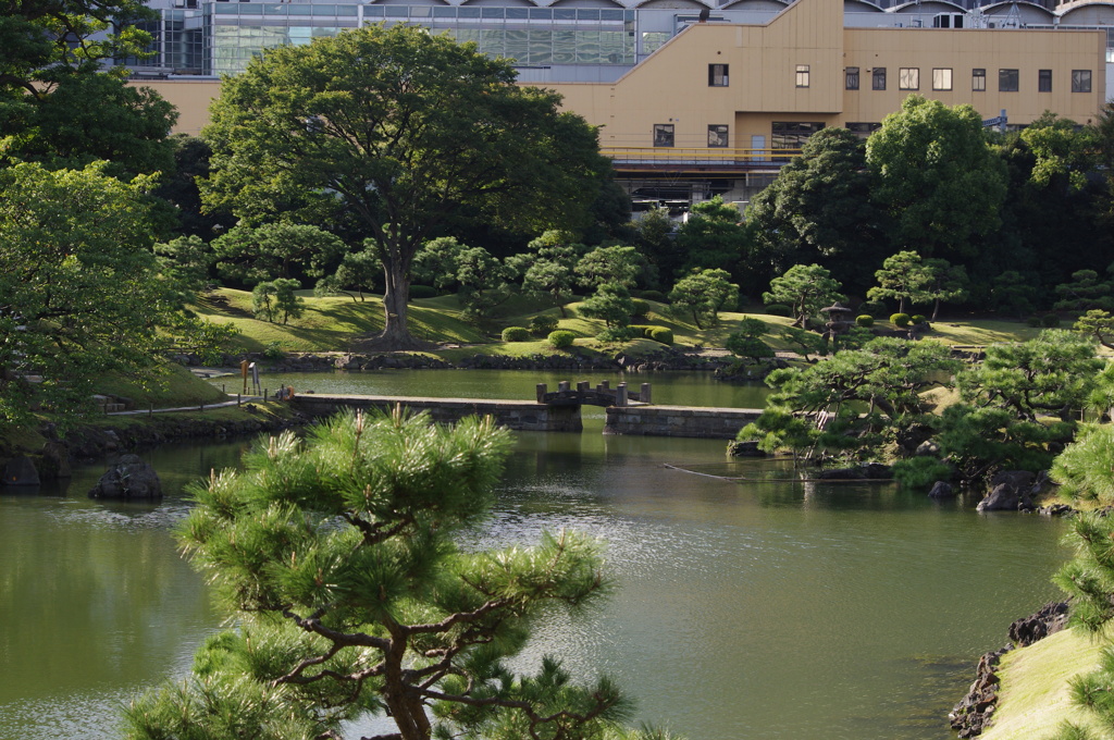 庭園風景　3