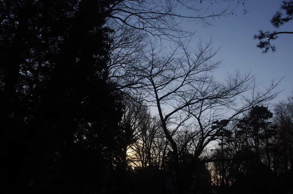 公園の夕景