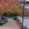 紅葉と遊歩道
