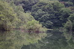 風景　2　三宝寺池　９月