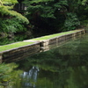 西湖の堤