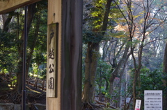 地元に溶け込む名園　戸越公園　１２月中旬