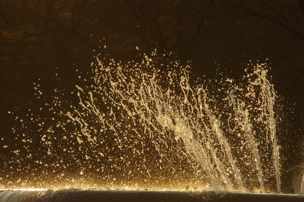 噴水　日比谷公園　１月