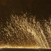 噴水　日比谷公園　１月