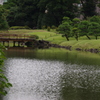 橋　旧芝離宮庭園　９月