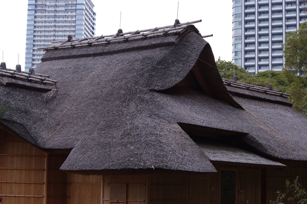 茶屋