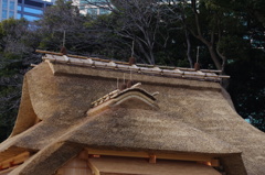 今度、再建される茶室の屋根
