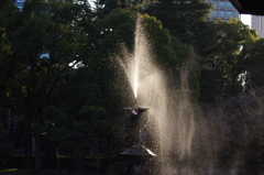 北風の中の噴水