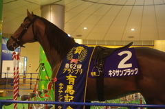 今年も終わりますね・・・・・