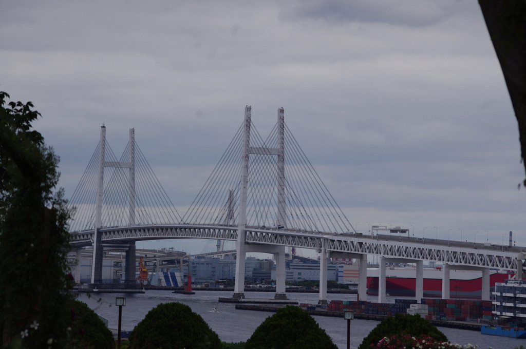 横浜ベイブリッジ　2　港が見える丘公園　5月