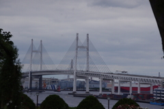 横浜ベイブリッジ　2　港が見える丘公園　5月