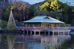 雪吊のある風景　旧浜離宮庭園　１月