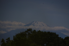 横浜からの富士山（外人墓地沿いの道端から・・）　1