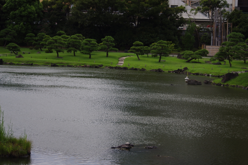庭園風景　2