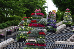 山下公園　5月　1