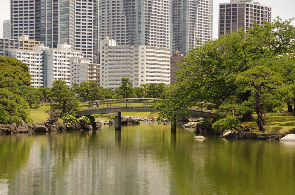 ビルと池と橋　旧浜離宮庭園