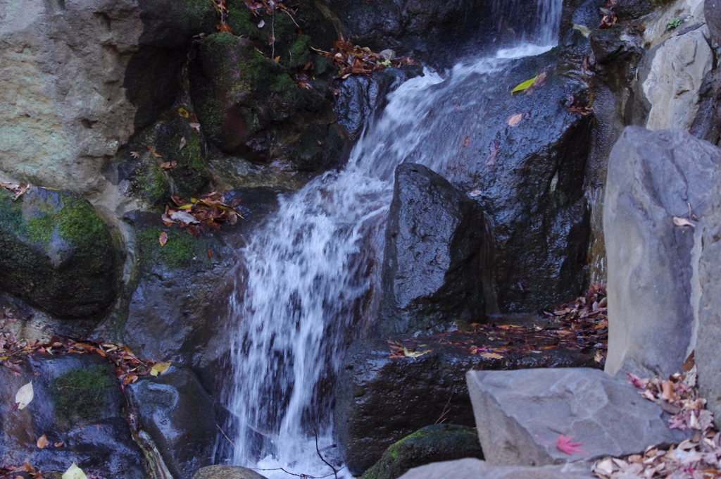 滝　芝公園　１２月