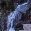 滝　芝公園　１２月