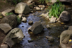 庭園風景　2