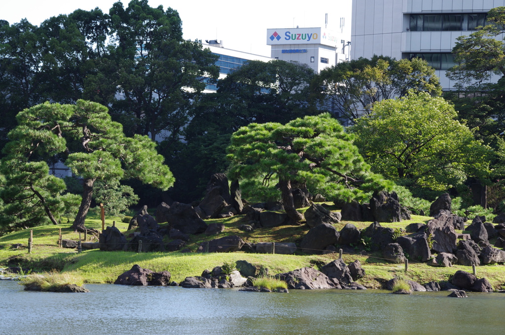 庭園風景　2