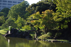 庭園の池と島