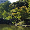 庭園の池と島