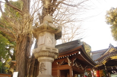 お稲荷さんですね　石灯籠にも狐様です　豊川稲荷　２月初め