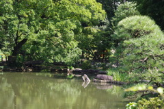 新江戸川公園　風景　８月