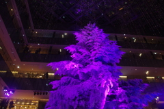 丸の内のクリスマス　4