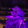 丸の内のクリスマス　4