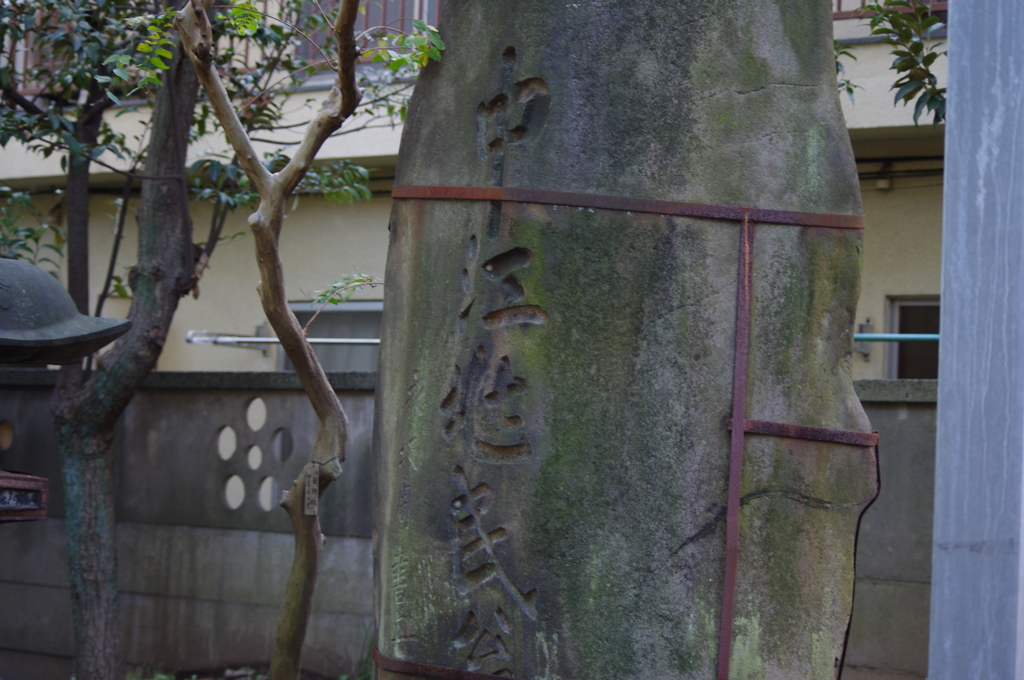 なんか昔、教科書で覚えたような名前の碑が・・・・・
