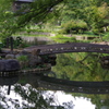 庭園　