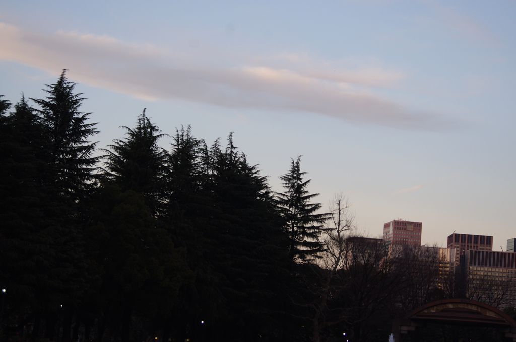 夕景　日比谷公園　一月