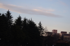 夕景　日比谷公園　一月