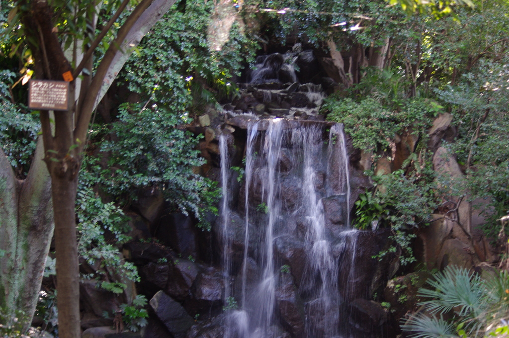 滝　名主の滝公園