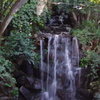 滝　名主の滝公園