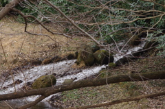 代々木公園の流水　１月