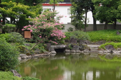 池と橋