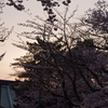 夕陽のライトアップ