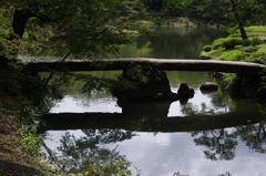 橋　六義園　8月