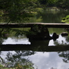 橋　六義園　8月