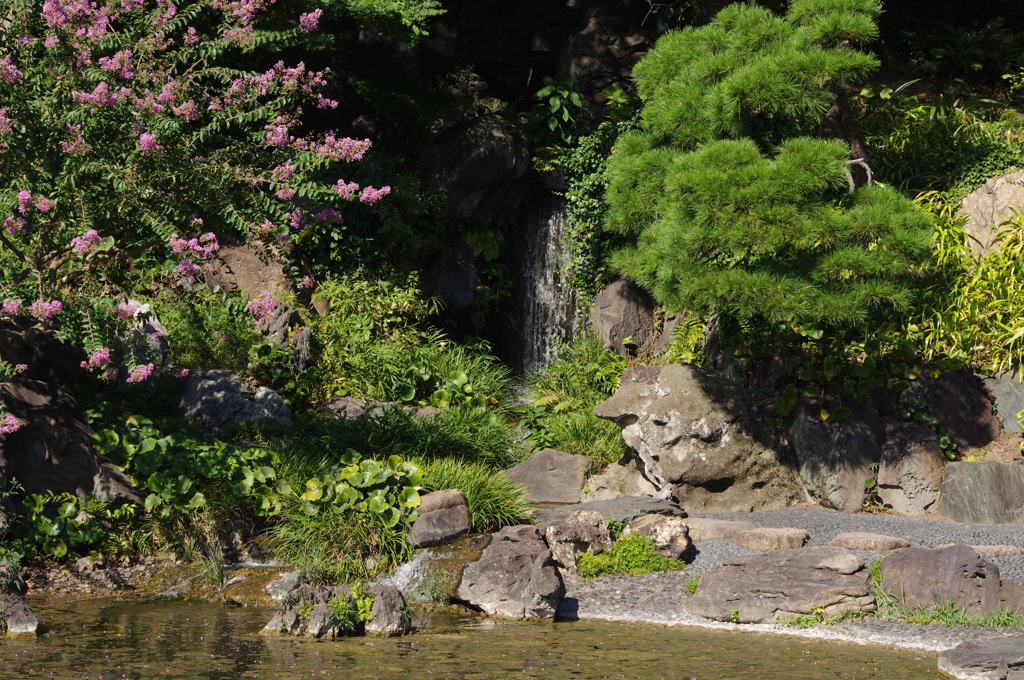 滝　皇居東御苑