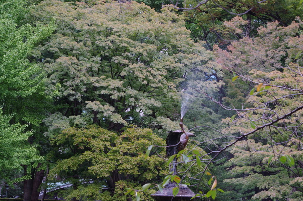 鶴の噴水　日比谷公園　１０月下旬