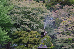 鶴の噴水　日比谷公園　１０月下旬