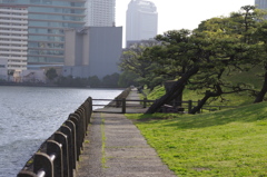 海に面した道　水門の中なのに波打っています