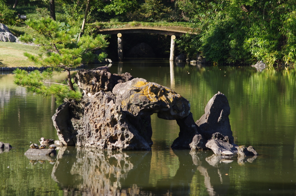 庭園風景　9