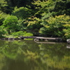 庭園の石橋