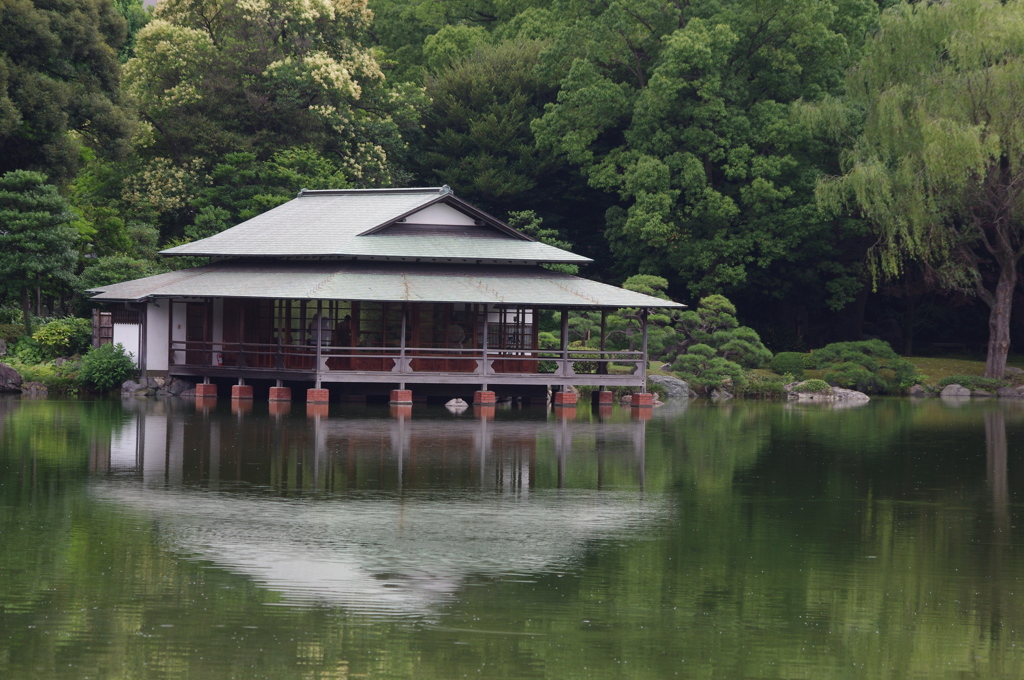 庭園風景