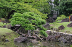 池と岩　旧芝離宮庭園　９月